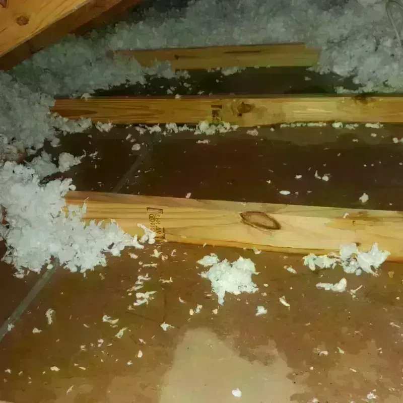 Attic Water Damage in Maple Lake, MN